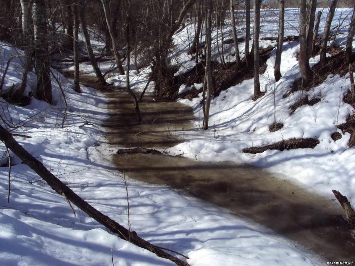 image4_ 
